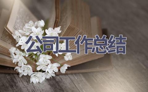 公司工作总结范文(15篇）