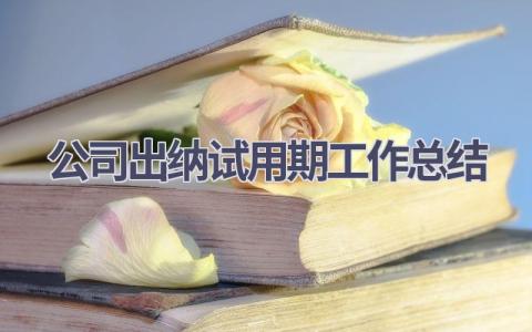 公司出纳试用期工作总结范文(8篇）