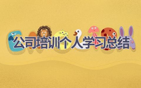 公司培训个人学习总结范文(13篇）