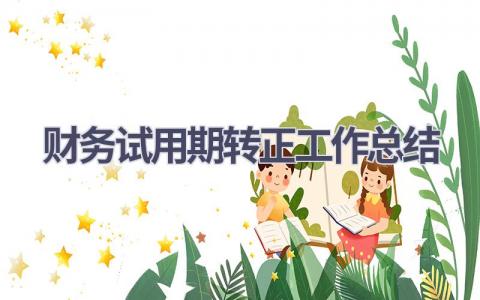 财务试用期转正工作总结范文(15篇）
