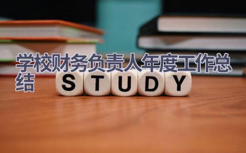 学校财务负责人年度工作总结范文(12篇）