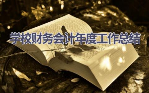 学校财务会计年度工作总结范文(6篇）