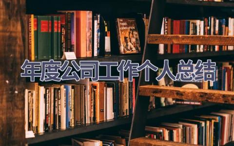 年度公司工作个人总结范文(18篇）