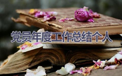 党员年度工作总结个人范文(19篇）