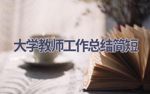 大学教师工作总结简短范文(14篇）