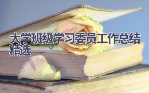 大学班级学习委员工作总结精选范文(8篇）