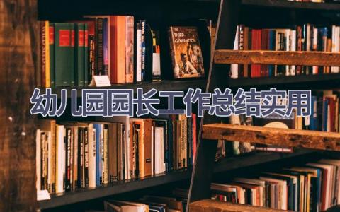 幼儿园园长工作总结实用范文(14篇）