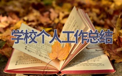 学校个人2023工作总结范文(11篇）