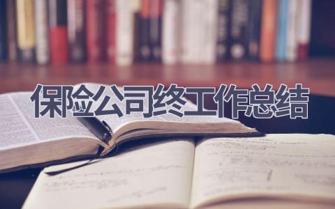 保险公司终工作总结范文(18篇）