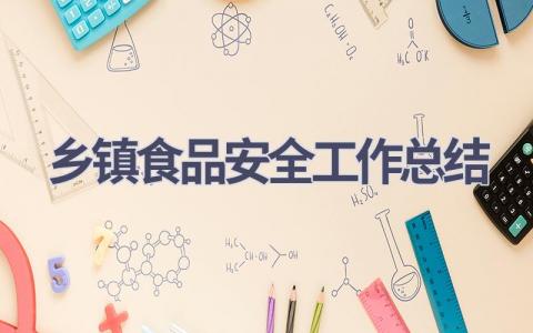 乡镇食品安全工作总结范文(16篇）