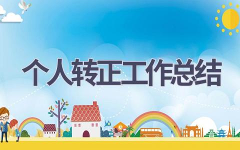个人转正工作总结范文(8篇）