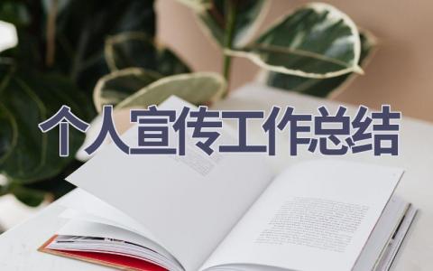 个人宣传工作总结范文(9篇）