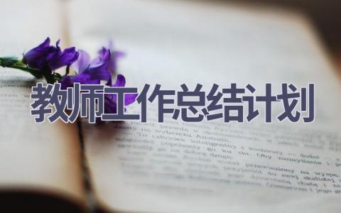 教师工作总结计划范文(19篇）