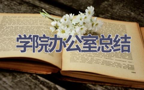 学院办公室总结范文(16篇）