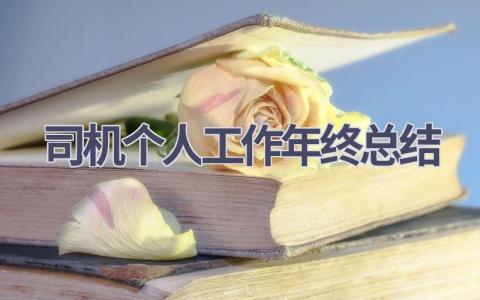 司机个人工作年终总结范文(18篇）