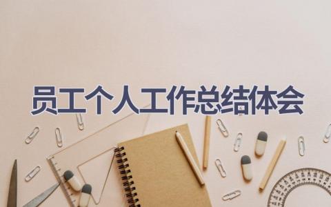 员工个人工作总结体会范文(17篇）