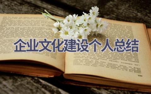企业文化建设个人总结范文(6篇）