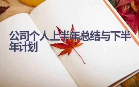 公司个人上半年总结与下半年计划范文(8篇）