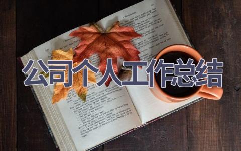 公司个人工作总结范文(18篇）