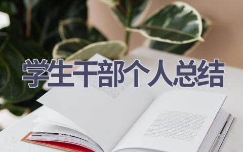 学生干部个人总结范文(17篇）