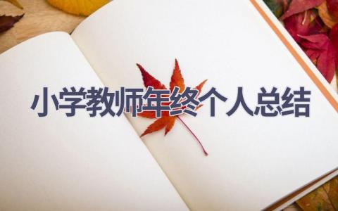 小学教师年终个人总结范文(12篇）