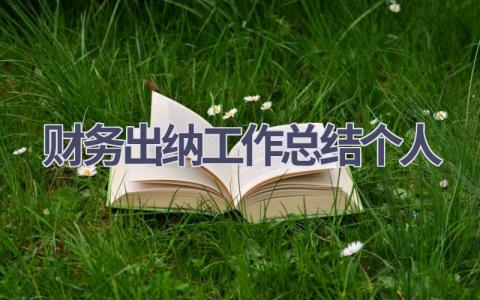 财务出纳工作总结个人范文(18篇）