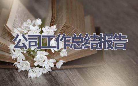 公司工作总结报告范文(10篇）