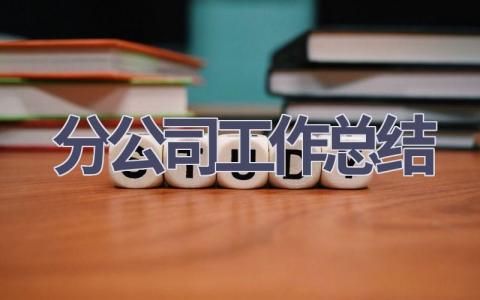 分公司工作总结范文(12篇）