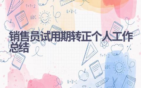 销售员试用期转正个人工作总结范文(19篇）