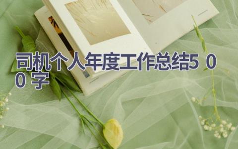 2023司机个人年度工作总结500字范文(9篇）