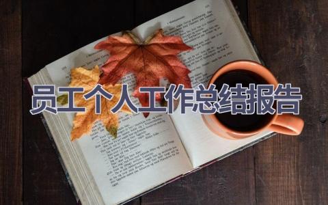 员工个人工作总结报告范文(17篇）