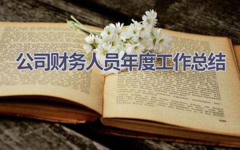 公司财务人员年度工作总结范文(6篇）