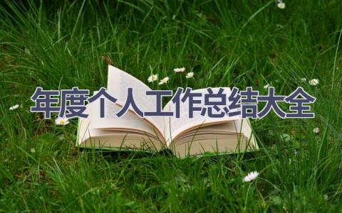 年度个人工作总结大全范文(21篇）