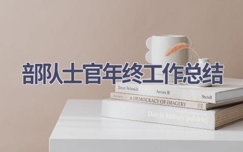 部队士官年终工作总结范文(16篇）