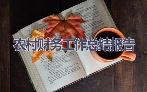 农村财务工作总结报告范文(12篇）