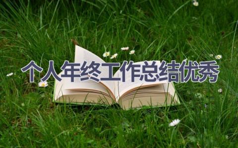 个人年终工作总结优秀范文(20篇）