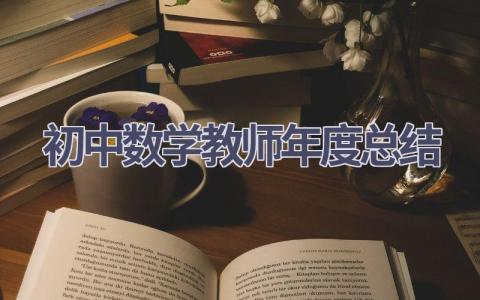 初中数学教师年度总结范文(20篇）