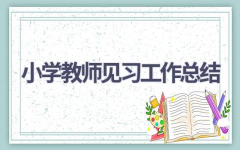 小学教师见习工作总结范文(5篇）