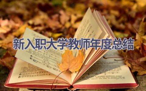 新入职大学教师年度总结范文(11篇）