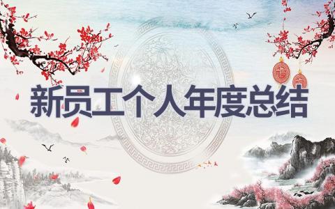 新员工个人年度总结范文(17篇）