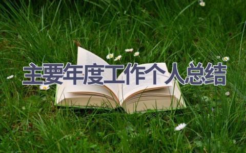 主要年度工作个人总结范文(21篇）
