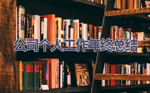 公司个人工作年终总结范文(15篇）