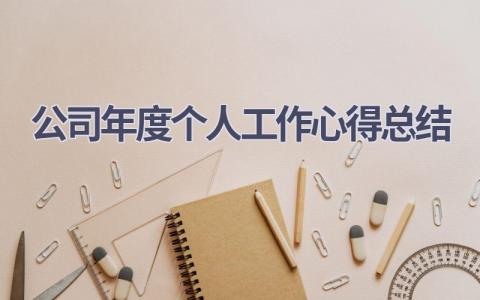 公司年度个人工作心得总结范文(5篇）