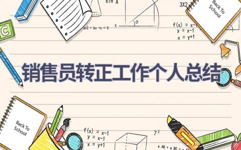 销售员转正工作个人总结范文(16篇）