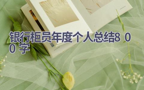 银行柜员年度个人总结800字范文(21篇）