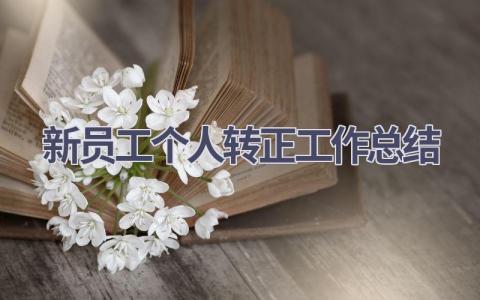 新员工个人转正工作总结范文(17篇）