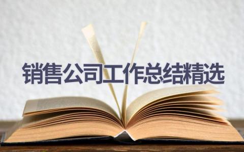 销售公司工作总结精选范文(15篇）