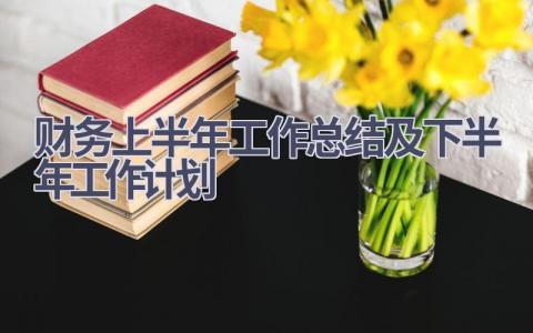 财务上半年工作总结及下半年工作计划范文(15篇）