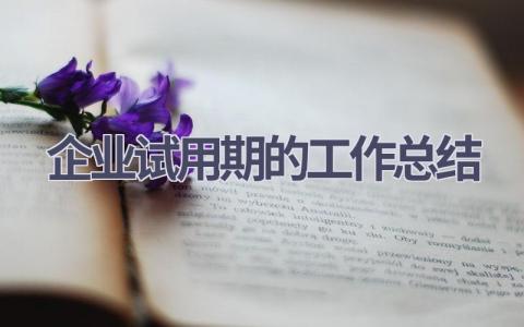 企业试用期的工作总结范文(17篇）