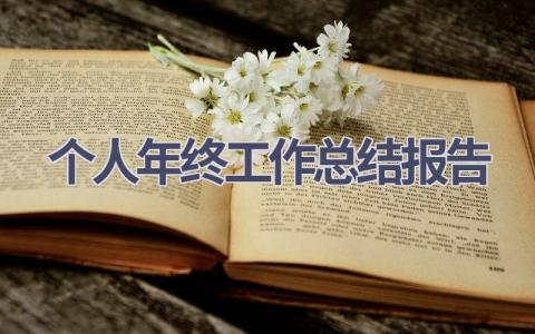 个人年终工作总结报告范文(15篇）